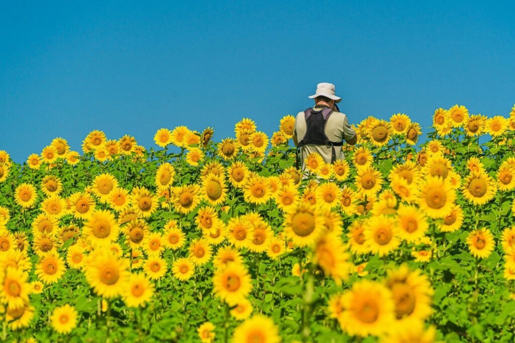 Seven Weather Related Photography Tips from the Field